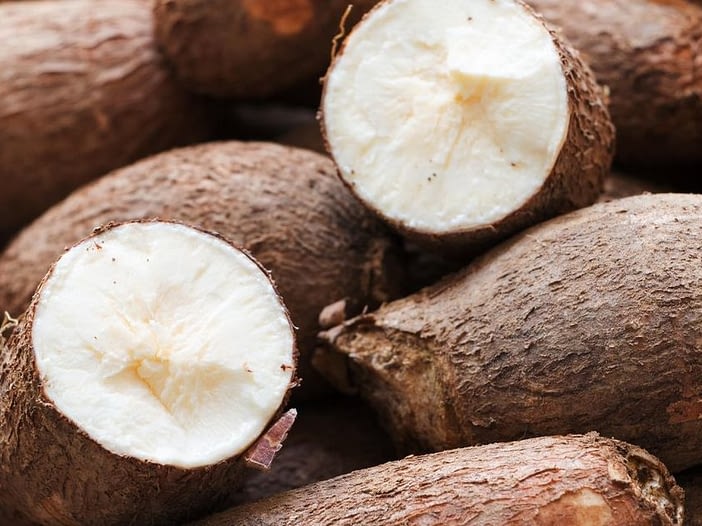 Cassava Tuber for Making Swallow